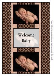 New Baby 3 Panel Fold Back