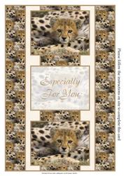 Leopard Cub 3 Panel Fold Back