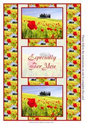 Poppy Field 3 Panel Fold Back