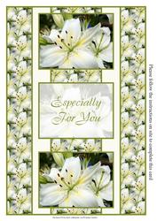 White Oriental Lily 3 Panel Fold Back