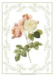 Beautiful Rose A4 Topper/card