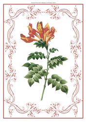 Beautiful Floral A4 Topper/card