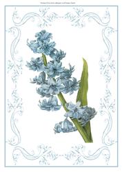 Beautiful Blue Floral A4 Topper/card