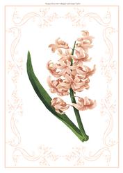 Beautiful Pink Floral A4 Topper/card