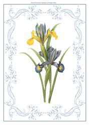 Beautiful Iris A4 Topper/card