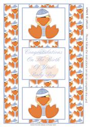 Cute Little Duck Baby Boy 3 Panel Fold Back