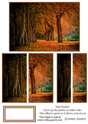 Autumn Walks Side Stacker