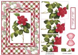 Beautiful Floral Torn Edge Effect Card Front