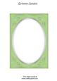 Bright Shade Fancy Silver A5 Card Front