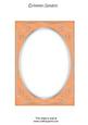 Bright Shade Fancy Silver A5 Card Front
