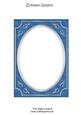 Bright Shade Fancy Silver A5 Card Front