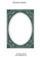 Rich Shade Fancy Silver A5 Card Front