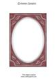 Rich Shade Fancy Silver A5 Card Front