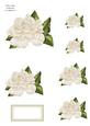 Roses & Pearls Toppers 1 Mix N Match