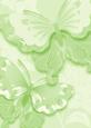 Bright Shade Oriental Butterflies Backing Paper
