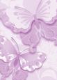 Bright Shade Oriental Butterflies Backing Paper