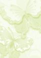 Bright Shade Oriental Butterflies Backing Paper