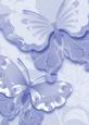 Bright Shade Oriental Butterflies Backing Paper
