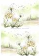 2 A5 Backgrounds for Your Decoupage Ladies & Rubber Stamps