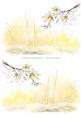 2 A5 Backgrounds for Your Decoupage Ladies & Rubber Stamps