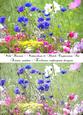 Wild Flowers Art Impression Watercolour & Sketch Digital Art