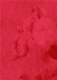 Tattered Rose A4 Backing Paper - Bright Shade
