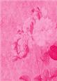 Tattered Rose A4 Backing Paper - Bright Shade