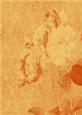 Tattered Rose A4 Backing Paper - Earthy Shade