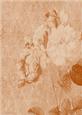 Tattered Rose A4 Backing Paper - Earthy Shade