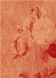 Tattered Rose A4 Backing Paper - Earthy Shade