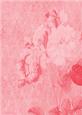 Tattered Rose A4 Backing Paper - Rich Shade