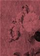 Tattered Rose A4 Backing Paper - Rich Shade