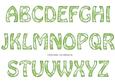 Vintage Rose Alphabet - Bright Shade