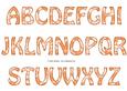 Vintage Rose Alphabet - Bright Shade