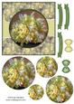 Beautiful 6x6 Torn Strip Vintage Yellow Roses Quick Card