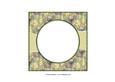 Beautiful 6x6 Torn Strip Vintage Roses Insert