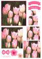Pink Tulips Watercolour Pyramid Topper