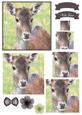 Wild Deer Watercolour Pyramid Topper