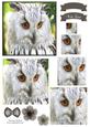 Beautiful Owl Watercolour Pyramid Topper