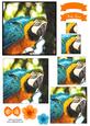 Macaw Parrot Watercolour Pyramid Topper