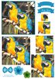 Macaw Parrot Watercolour Pyramid Topper
