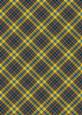 Plaid - Matching Macaw Parrot Watercolour Pyramid Topper