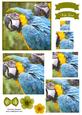 Macaw Parrot Watercolour Pyramid Topper
