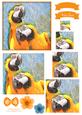 Macaw Parrot Watercolour Pyramid Topper