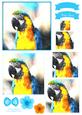 Macaw Parrot Watercolour Pyramid Topper