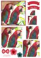 Macaw Parrot Watercolour Pyramid Topper