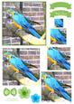 Macaw Parrot Watercolour Pyramid Topper