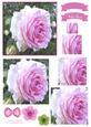 Pretty Rose Watercolour Pyramid Topper