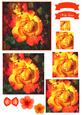 Pretty Rose Watercolour Pyramid Topper