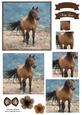 Beautiful Horse Watercolour Pyramid Topper